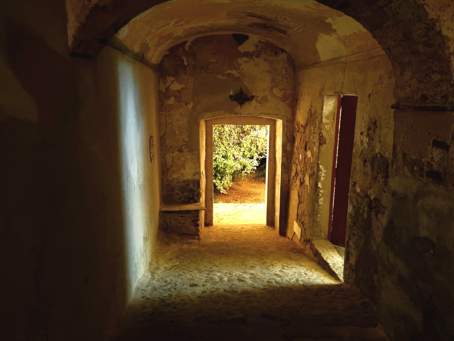 Corridor to the garden