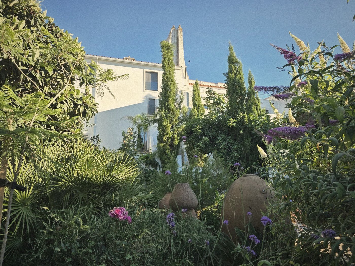 Garden and house