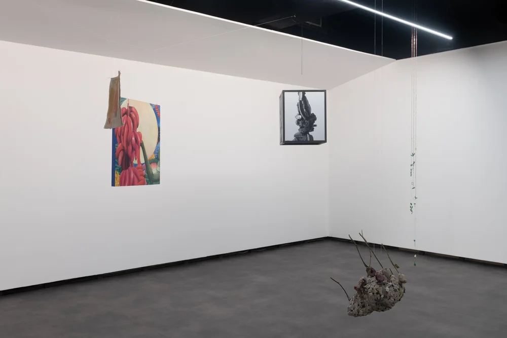 Exhibition Bico, 3