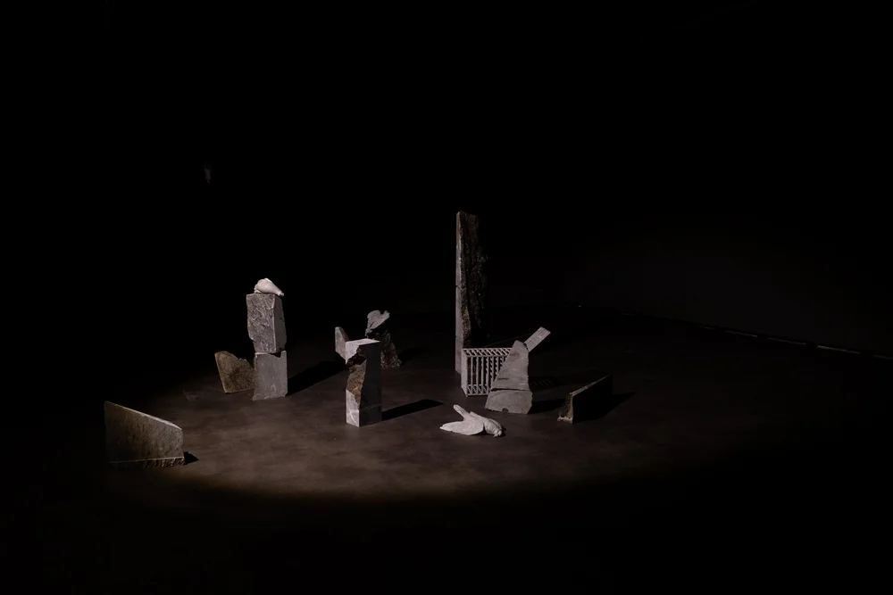 Exhibition Natureza morta, 2