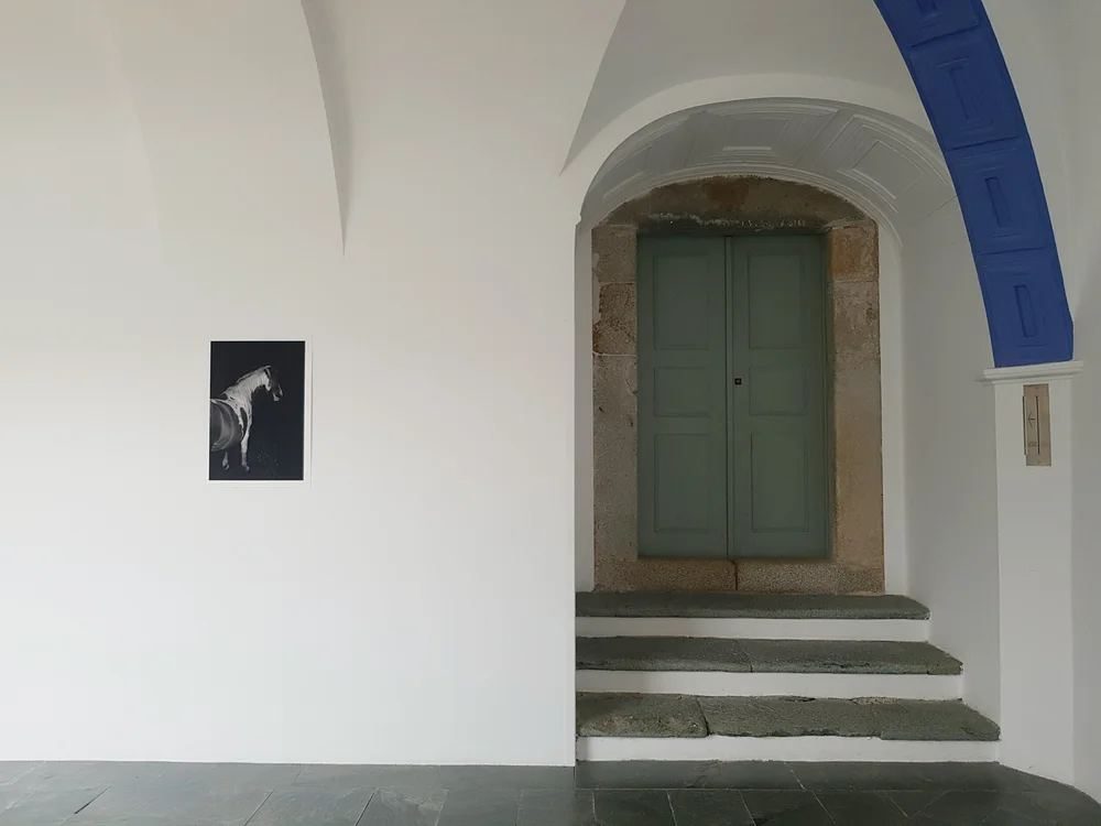 Exhibition Sedimento, 2
