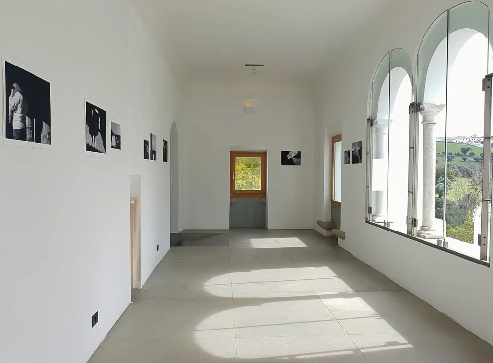 Exhibition Sedimento, 5