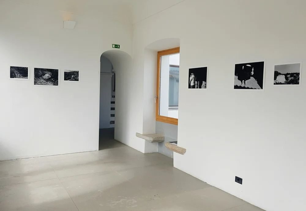 Exhibition Sedimento, 6