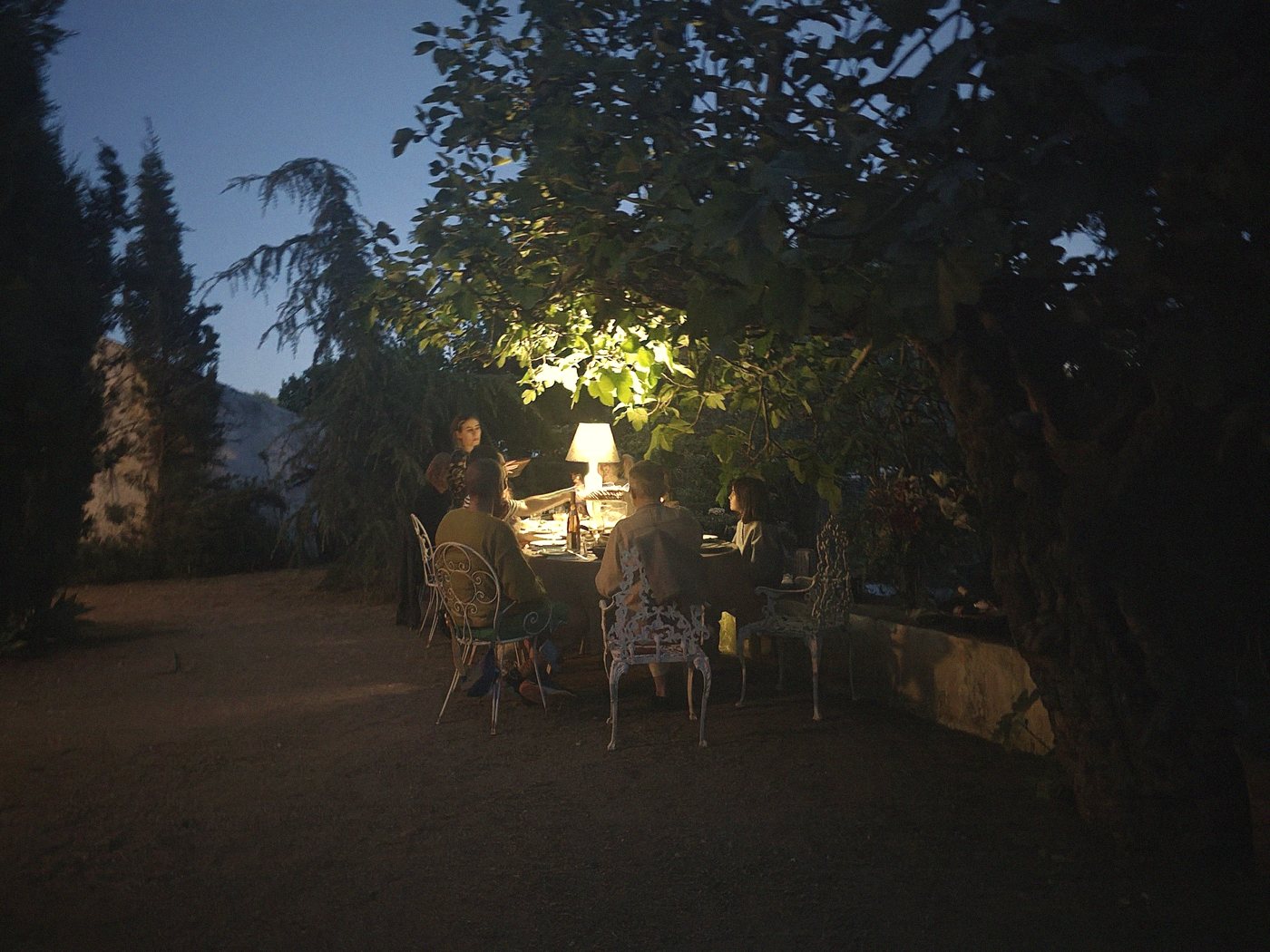 Shared dinners