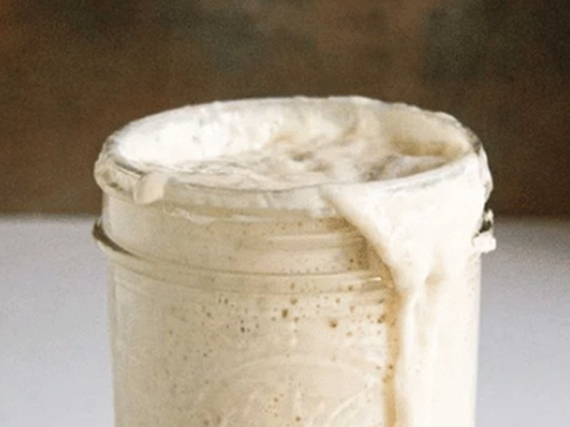 Sourdough workshop